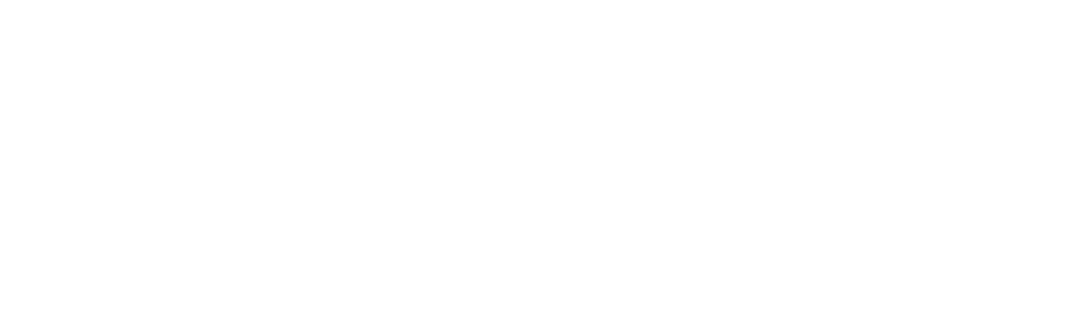 logo DGA BIANCO